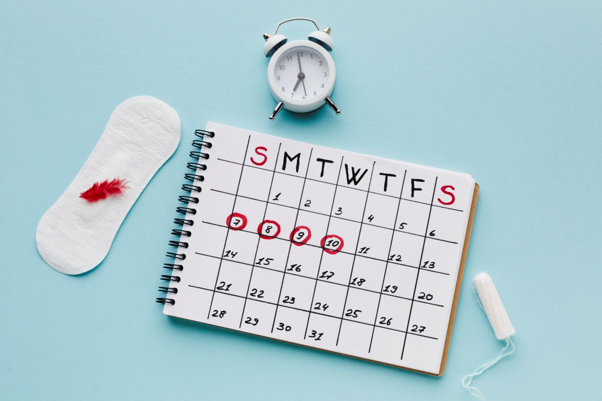menstruační kalendář a perioda